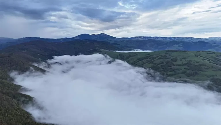 Alaçam’da Yoğun Sis Etkili