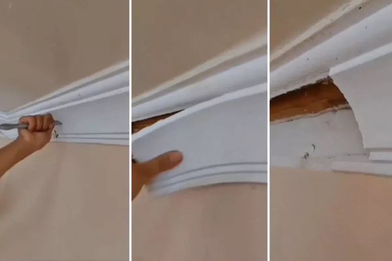 Bir süredir garip şeyler oluyordu! Evdeki kartonpiyeri söktüler, altından çıkanlara inanamadılar