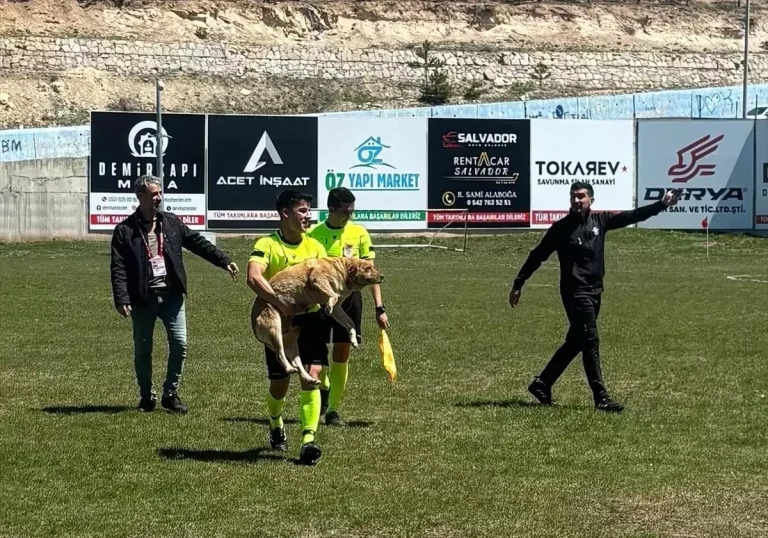 Hakem, Sahaya Giren Köpeğe Kırmızı Kart Gösterdi