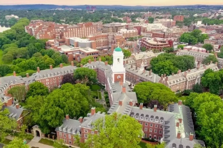 Harvard Üniversitesi’nde Silah Sesi Panik Yarattı