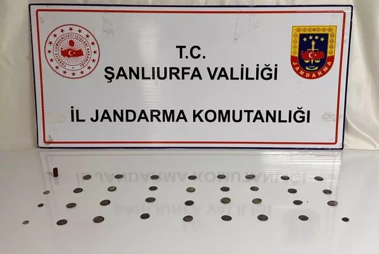 Şanlıurfa’da Tarihi Eser Operasyonu